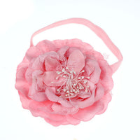 2017  Shipping  Girls kids headbands Elastic faixa de cabelo Flower Hair accessories Photography Prop Band Headbands #LWN